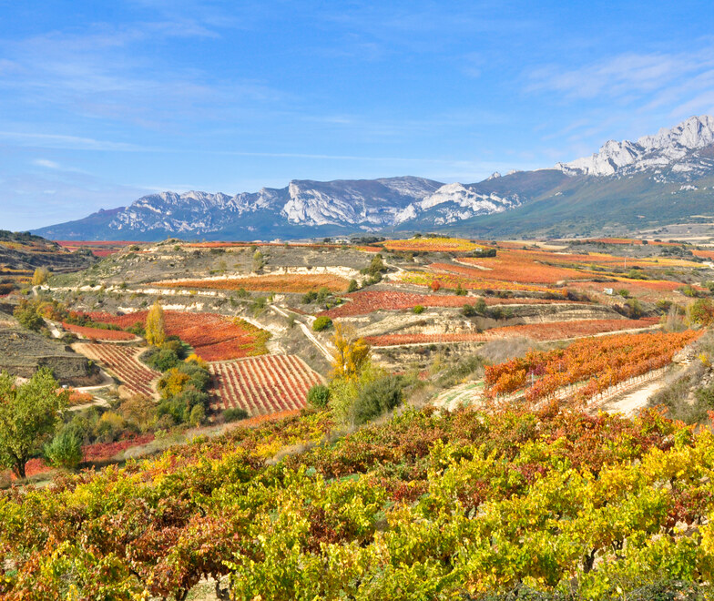Paysage Rioja, le tourisme basque.